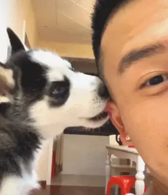 He took a photo with his master