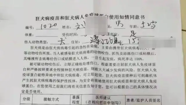 Investigation into the killing of a golden fur dog in the street: the community's search for the owner failed to follow the stray dog