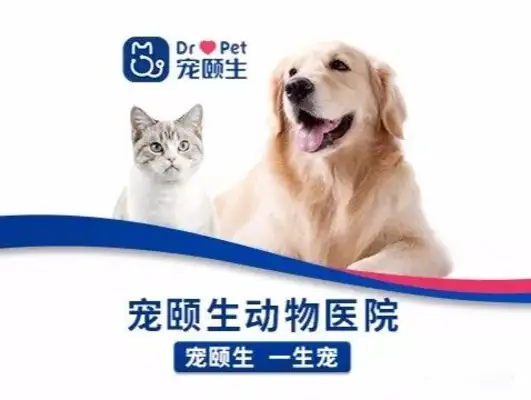 Online advice on pet health, advice on pet diseases