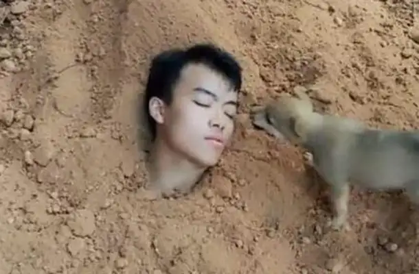 The master burys himself in order to expose the satisfaction of the dog, whose appearance makes me so sad to cry