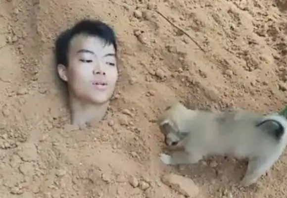 The master burys himself in order to expose the satisfaction of the dog, whose appearance makes me so sad to cry