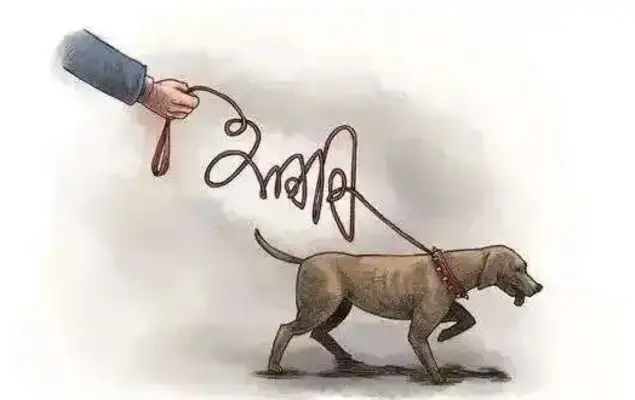 In the early rush of Hangzhou, two pet dogs came out suddenly... and you met the dog without a rope