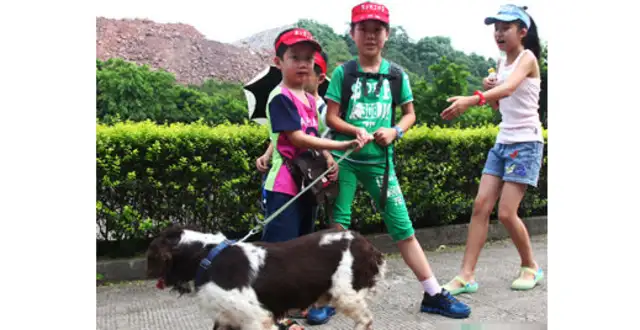 The kid was in close contact with the dog