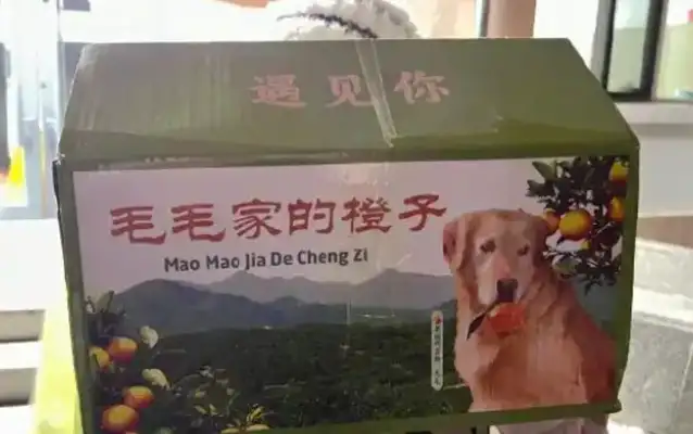 He died of a heart attack and helped the farmers with the oranges. Red
