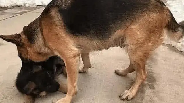 We're going to teach him a lesson