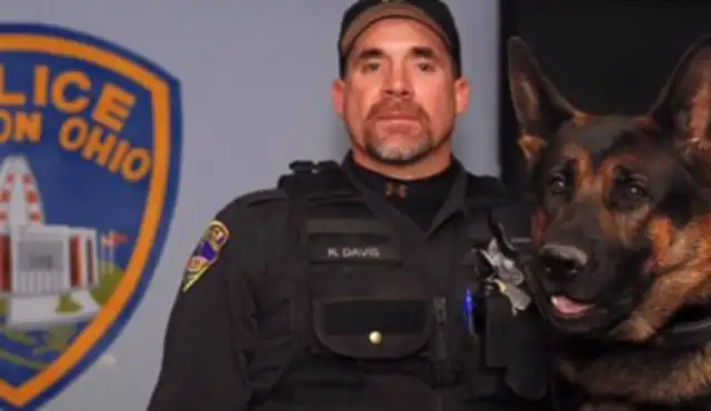 The dogs were killed in the line of duty
