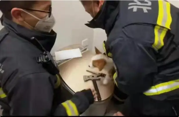 The dog's head is stuck in the toilet. The fireman's warm