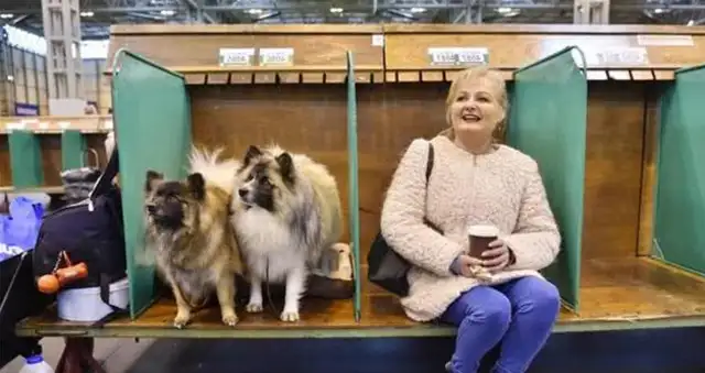 We've come to the biggest dog show in the world