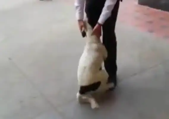 ♪ On the streets ♪