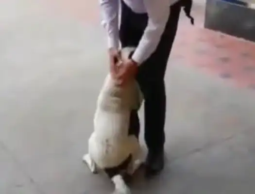 ♪ On the streets ♪