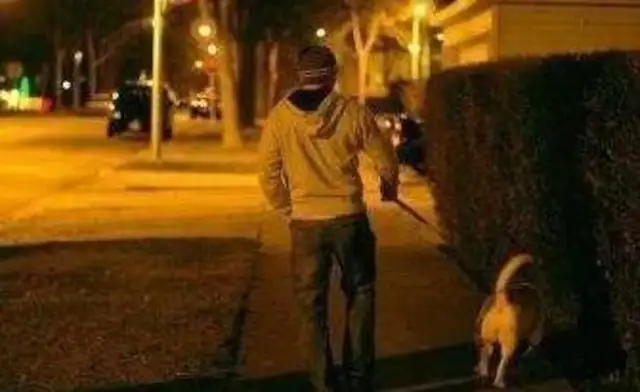 Why do people walk dogs in the middle of the night? And running away from old people and not playing with strangers