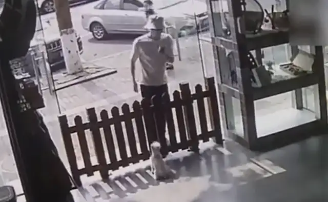 The pet store has been stolen. Civilians have been recovered for 72 hours