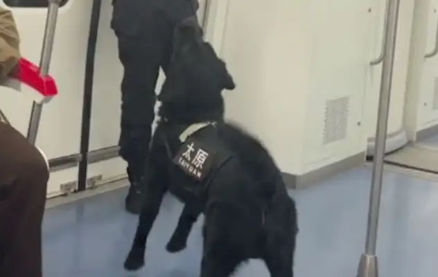 The cop and the dog play games on the subway. He's a kid