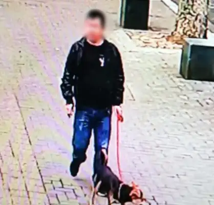 Two years of dog loss, 55 days for the patient and a thousand dollars for the dog