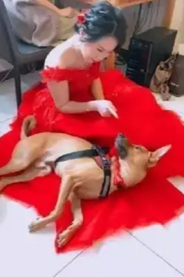 The master doesn't want to leave after the wedding