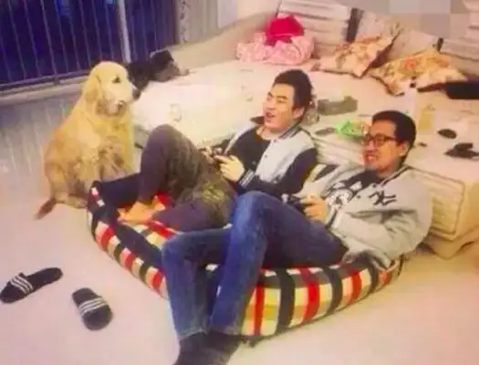 I've been sitting in a dog's nest playing games, and I've looked down on him