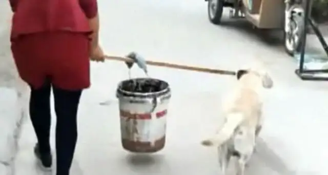 Master's going to fetch water with a bucket