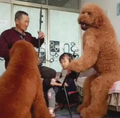 A dog that's bigger than a refrigerator, and it's hidden in a high-air snack
