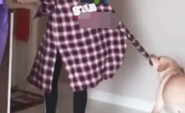 The dog's owner is going to throw it away. The dog's mother is in a hurry