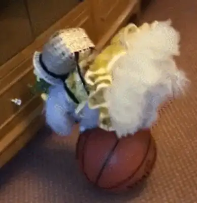 Dogs playing acrobats on balls, and there's a crotch on them