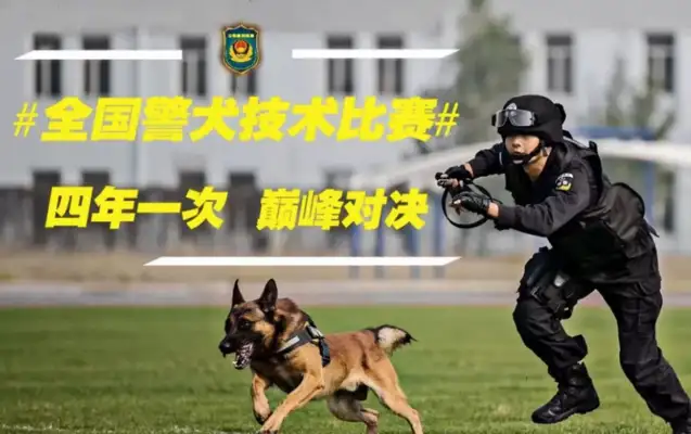 little black cops with their eyebrows and their little faces on the net