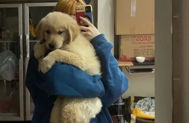 The master is good for Kim Mutt. He wants to go out anytime. Dog: Yeah