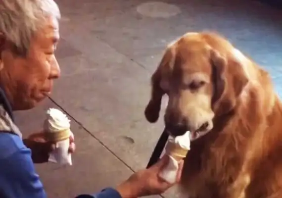Old people and dogs eat ice cream. It makes people feel so sweet, and I feel so sad