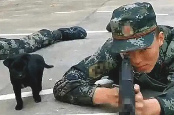 He came to his face and fell down on his leg while the coolest soldiers didn't notice. Sleep