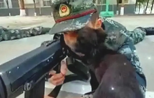 He came to his face and fell down on his leg while the coolest soldiers didn't notice. Sleep