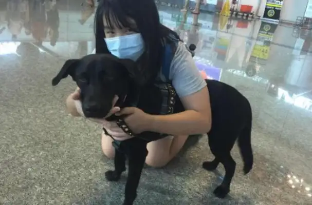 The dog's been strangled for three years. The girl doesn't listen to Dad's advice