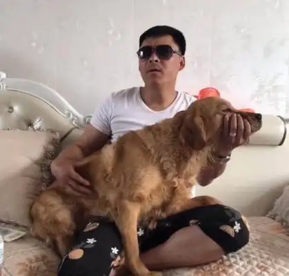The dog was smart and understanding, but he ran into the owner