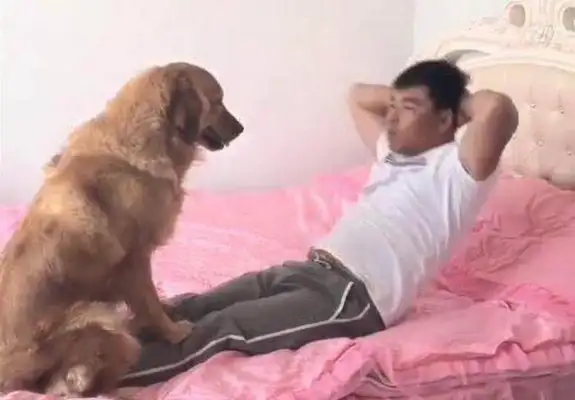 The dog was smart and understanding, but he ran into the owner