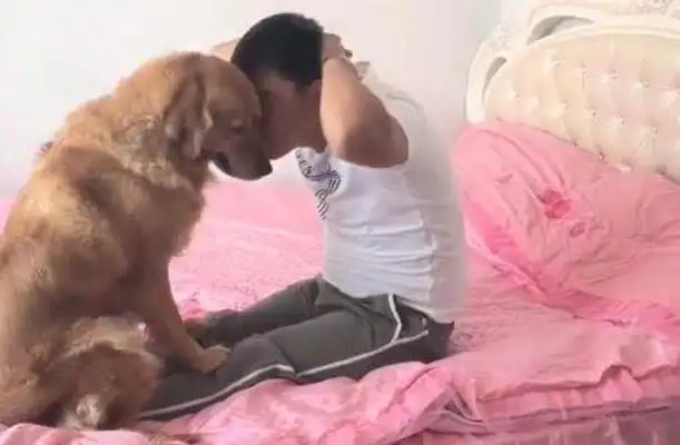 The dog was smart and understanding, but he ran into the owner