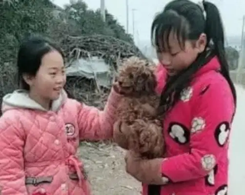 The girl found a monkey in the trash and came home with a dog. The rich love it