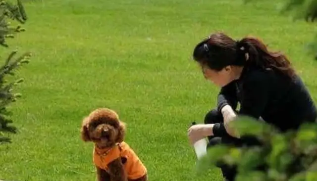 Watch out! The Teddys show up in these five situations and prove they don't give a shit about you
