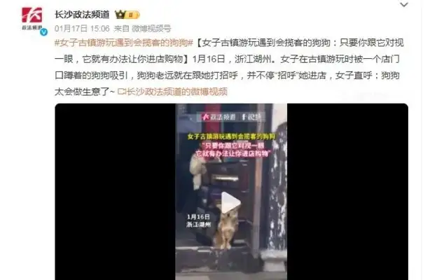 She's been playing around in ancient women's town with a pick-up dog