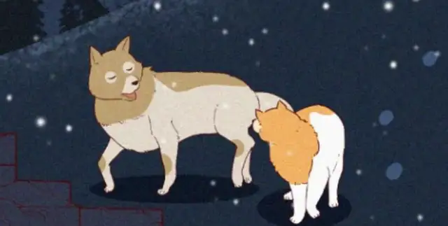 Chinese, why do you despise Chinese dogs