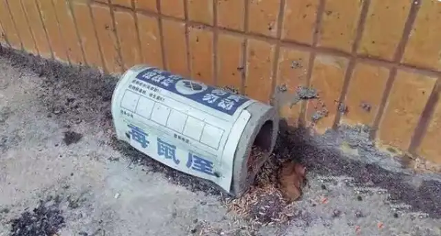 Back in the day, a good neighbor shot a dog with a rat's medicine, which eventually led to a murder