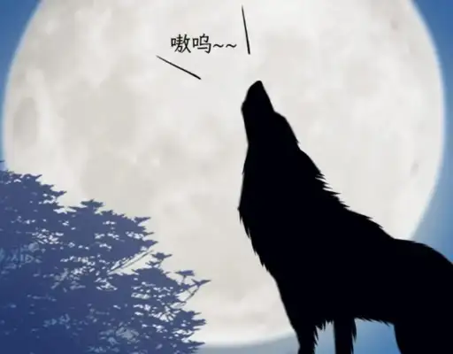 Chinese, why do you despise Chinese dogs