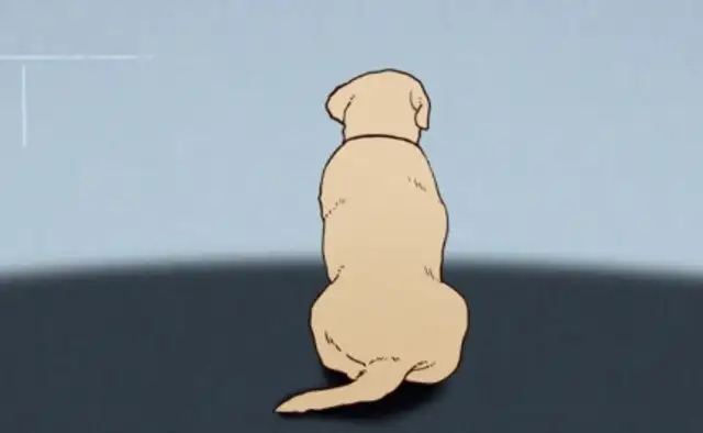 Chinese, why do you despise Chinese dogs
