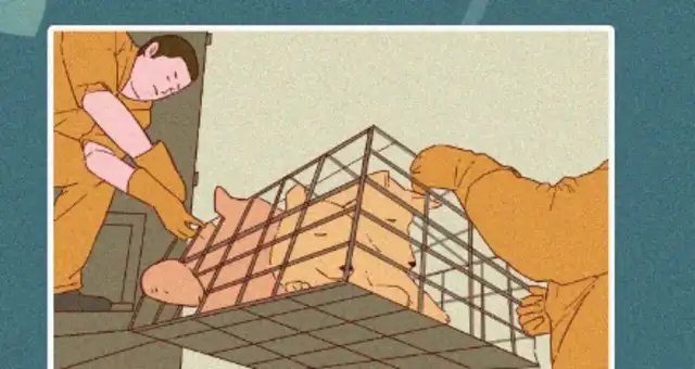 Chinese, why do you despise Chinese dogs