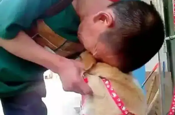 It's a sad and moving story