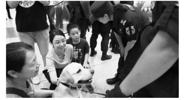 "Anti-terrorism" enters the terminal building with eight dogs on the scene