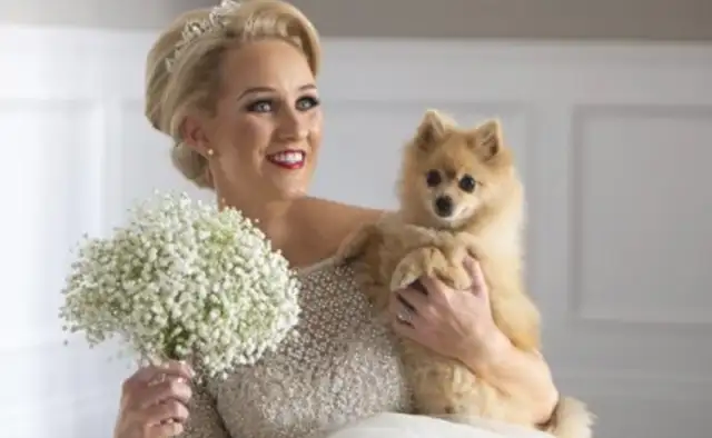 Then there's no need for a dog