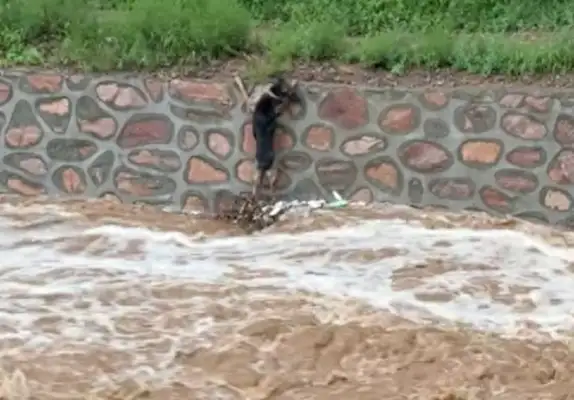 The dog fell into a flood, and in times of crisis, uncle reached out and pulled it back to shore