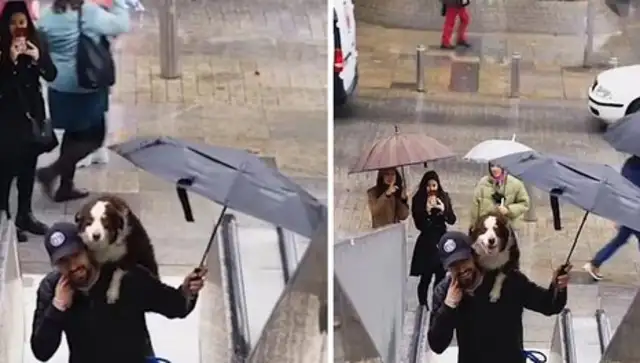 A Spanish man rides an escalator with a pet dog