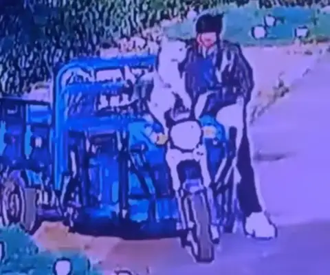 The man stole the dog and died seven minutes under his feet