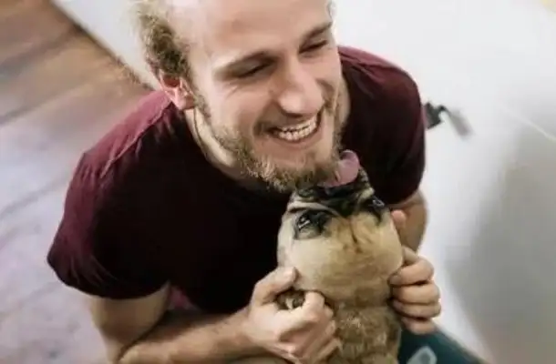 Why do dogs lick people? It's not just about loving you