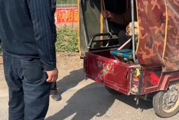 Once he left, the dog was thrown in a cage and found to make money