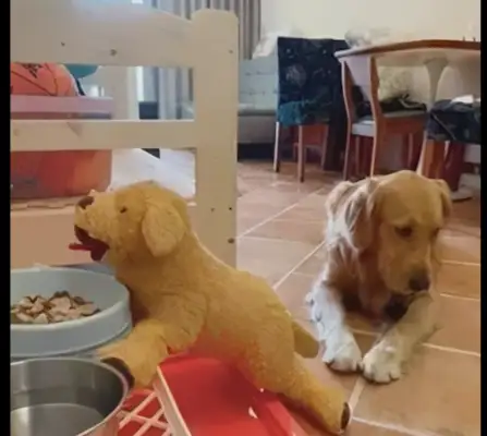 The owner pretends to let the dog eat it